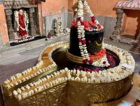 Darshan at Neelkanth Mahadev Mandir (11 March 2025)